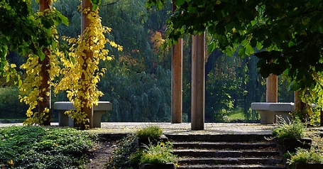 Park Ujazdowski - galeria