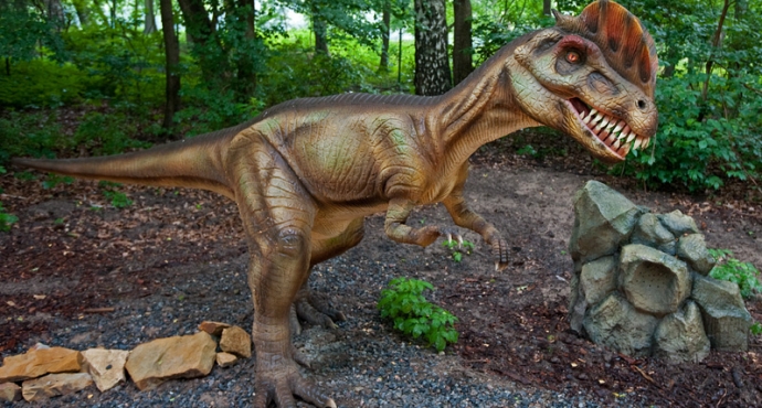 Dinopark Malbork Park Ruchomych Dinozaurów i Smoków - galeria