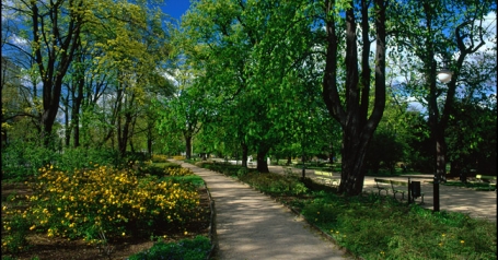 Park Ujazdowski - zbliżenie