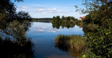 Jezioro Drużno - zbliżenie