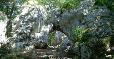Rezerwat Parkowe w Złotym Potoku  - zbliżenie