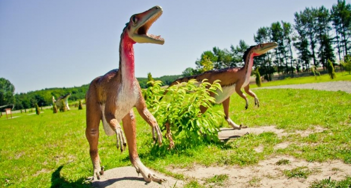 Bałtycki Park Dinozaurów Wrzosowo  - galeria