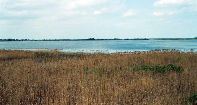 Rezerwat przyrody Jezioro Łuknajno - galeria