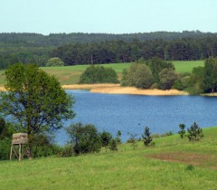 Rezerwat Jezioro Czarnówek 