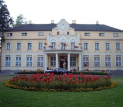 Pałac Witaszyce