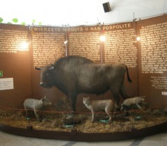 Muzeum Wiedzy o Środowisku