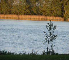 Jezioro Bnińskie 