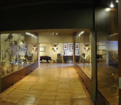 Muzeum Ziemi Chełmskiej 