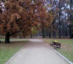 Park Popowicki